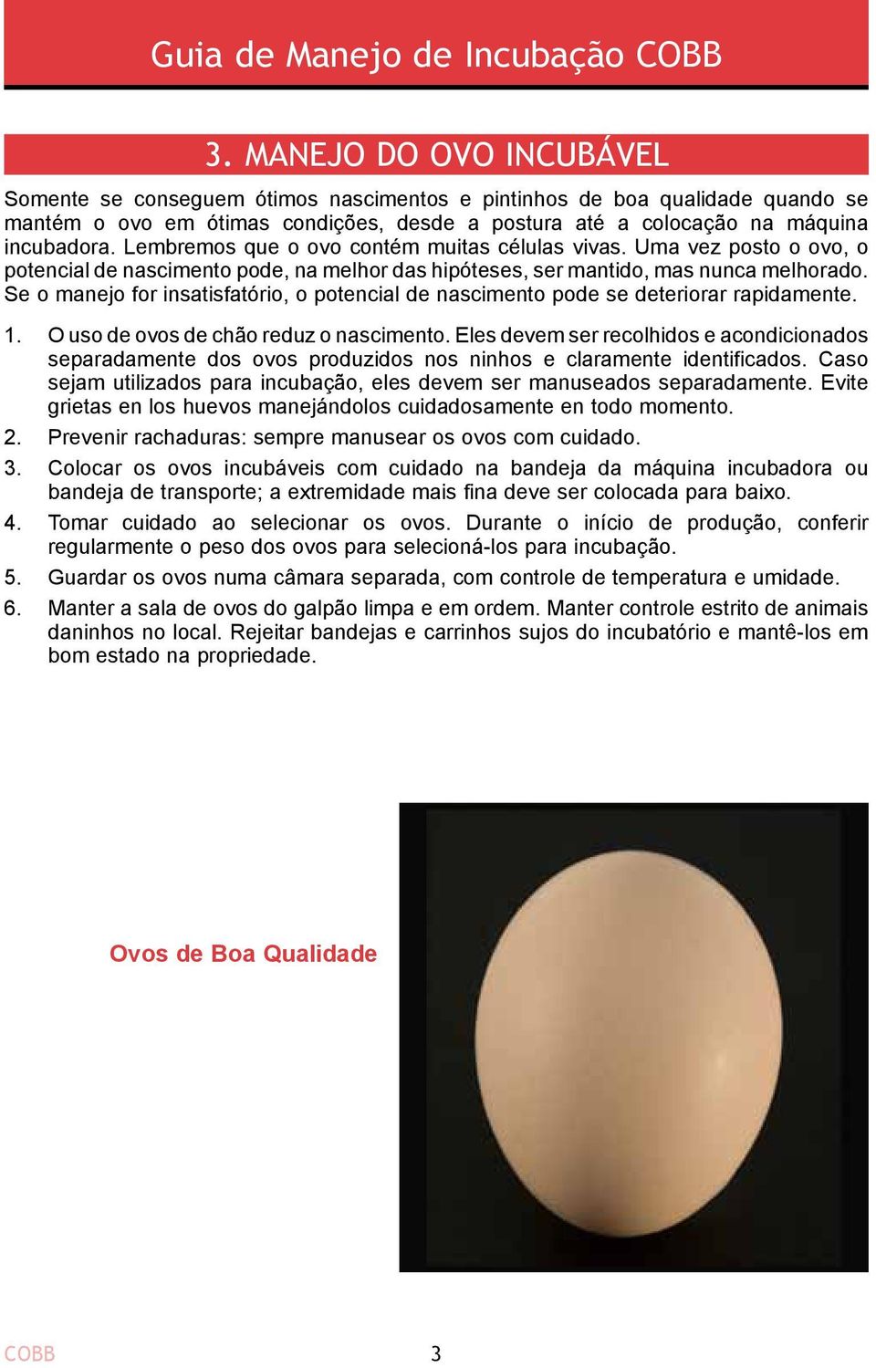 Se o manejo for insatisfatório, o potencial de nascimento pode se deteriorar rapidamente. 1. 2. 3. 4. 5. 6. 3. MANEJO DO OVO INCUBÁVEL O uso de ovos de chão reduz o nascimento.