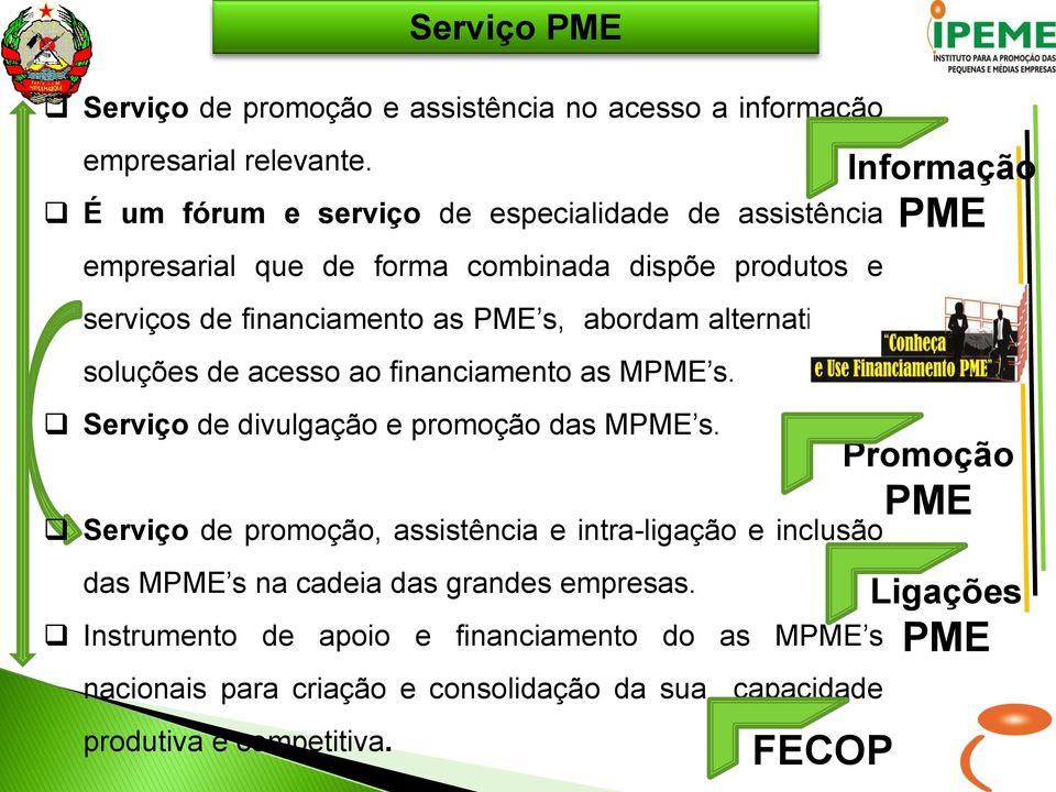alternativas e soluções de acesso ao financiamento as M. Serviço de divulgação e promoção das M.
