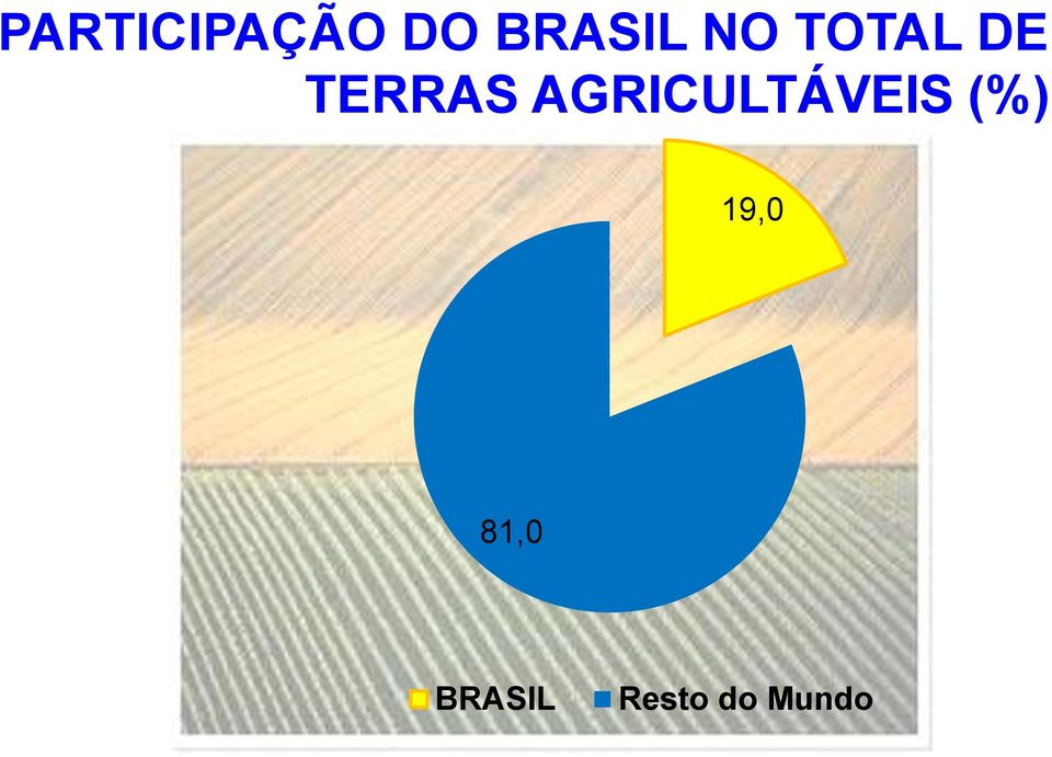 AGRICULTÁVEIS (%) 19,0