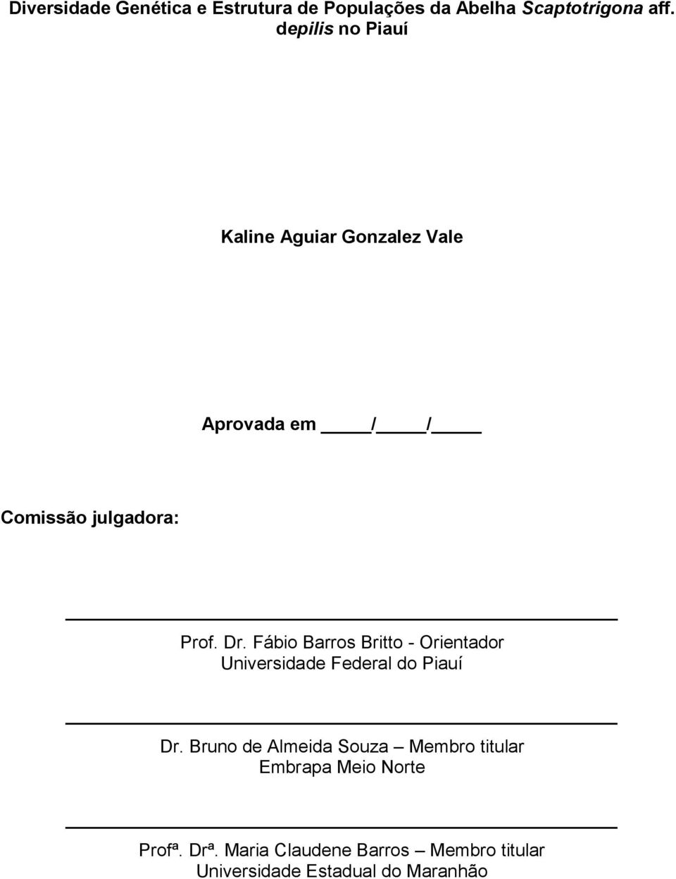 Fábio Barros Britto - Orientador Universidade Federal do Piauí Dr.