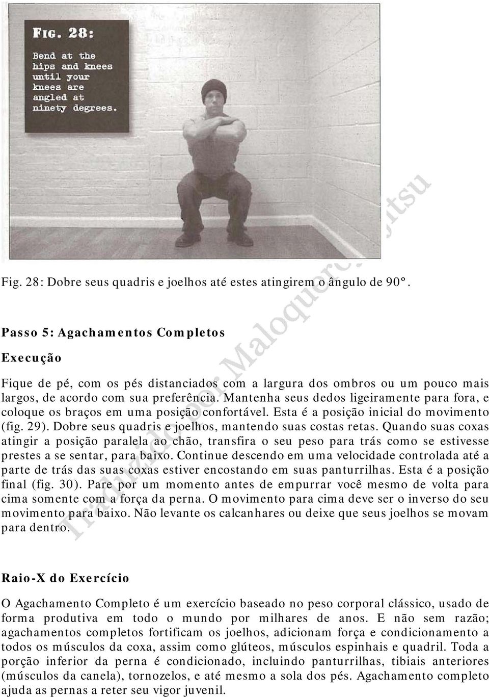 Mantenha seus dedos ligeiramente para fora, e coloque os braços em uma posição confortável. Esta é a posição inicial do movimento (fig. 29). Dobre seus quadris e joelhos, mantendo suas costas retas.