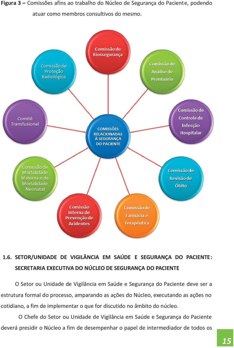e Segurança do Paciente deve ser a estrutura formal do processo, amparando as ações do Núcleo, executando as ações no cotidiano, a fim de implementar o que for