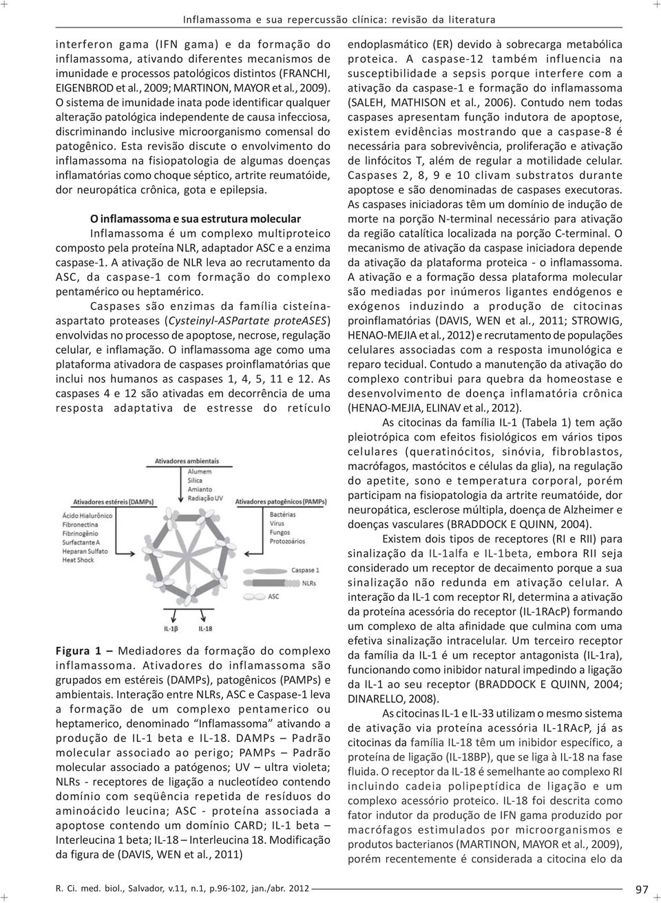 O sistema de imunidade inata pode identificar qualquer alteração patológica independente de causa infecciosa, discriminando inclusive microorganismo comensal do patogênico.