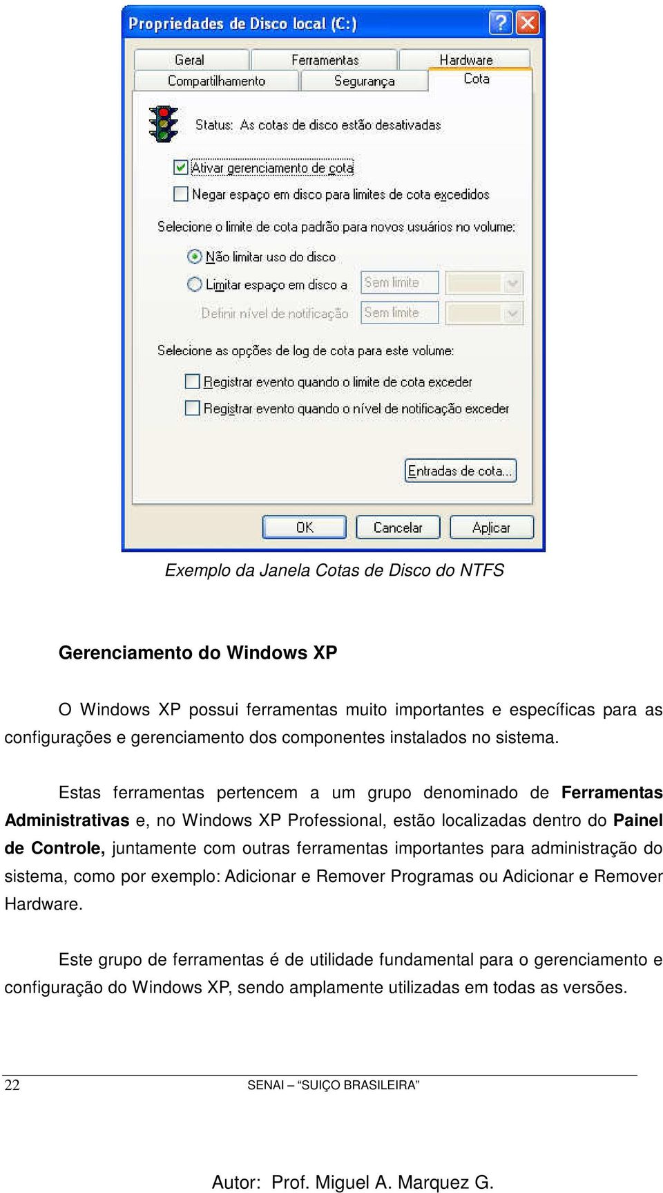 Estas ferramentas pertencem a um grupo denominado de Ferramentas Administrativas e, no Windows XP Professional, estão localizadas dentro do Painel de Controle, juntamente com