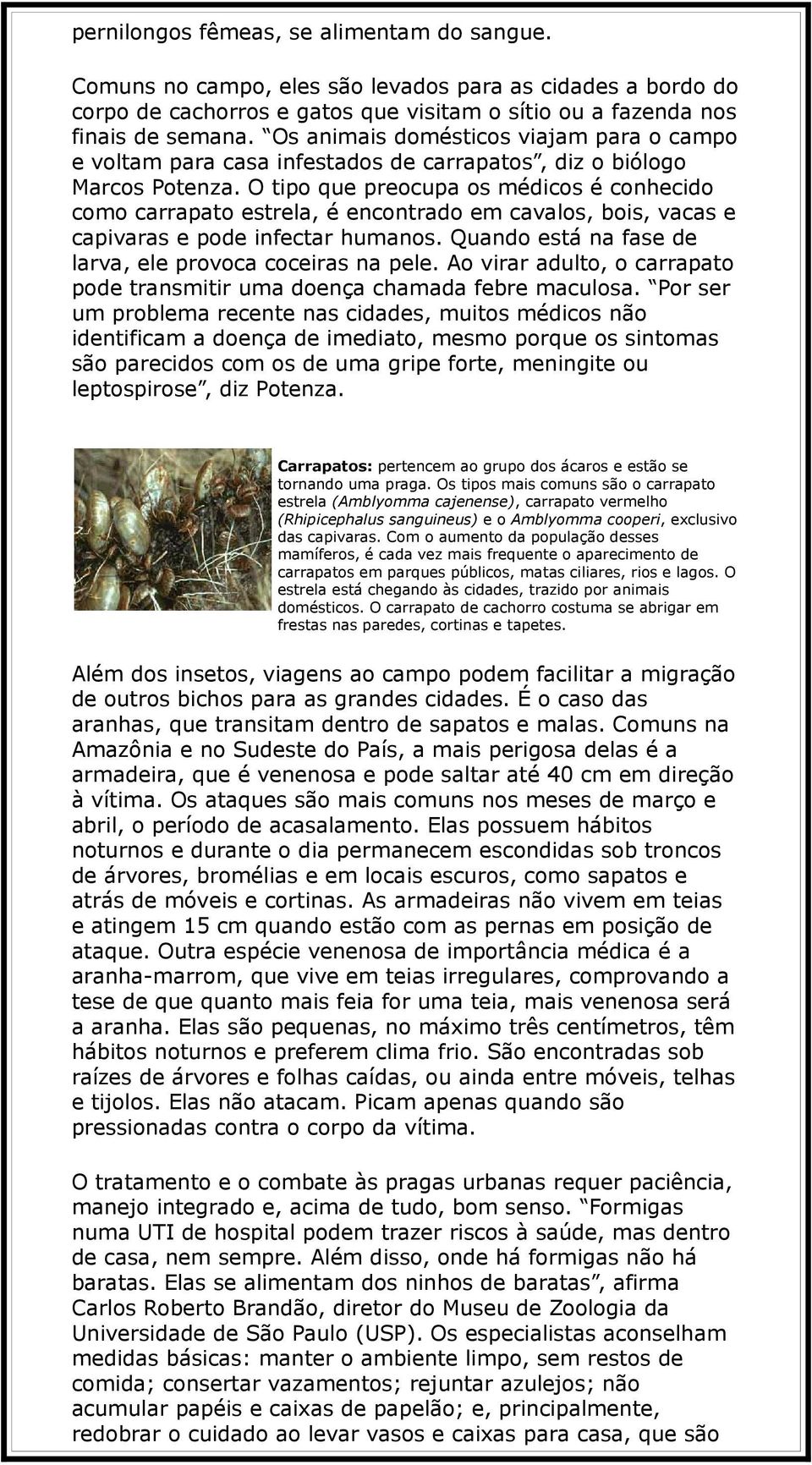 O tipo que preocupa os médicos é conhecido como carrapato estrela, é encontrado em cavalos, bois, vacas e capivaras e pode infectar humanos. Quando está na fase de larva, ele provoca coceiras na pele.