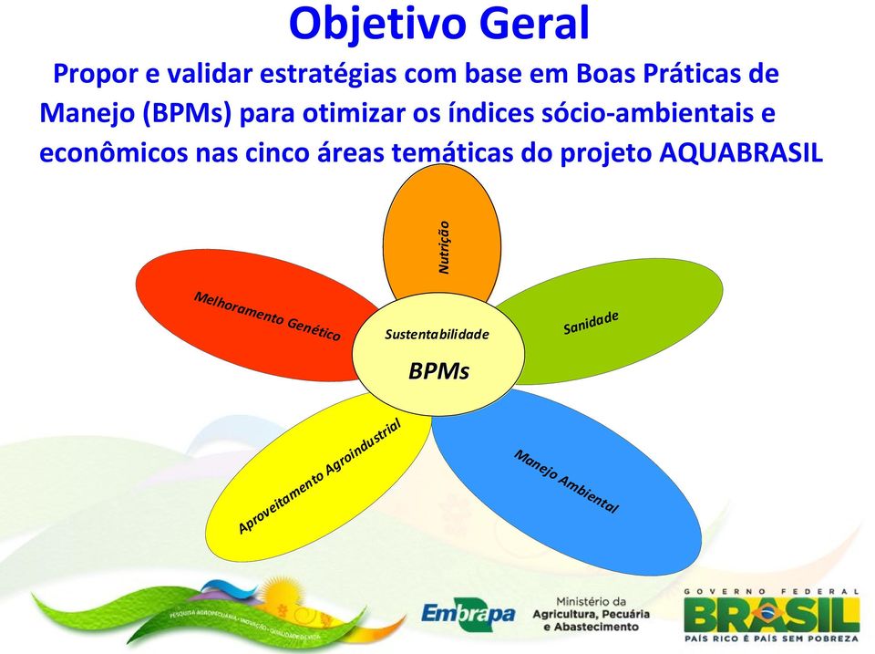 áreas temáticas do projeto AQUABRASIL Mel h ora me n to Ge n étic e ad Sanid