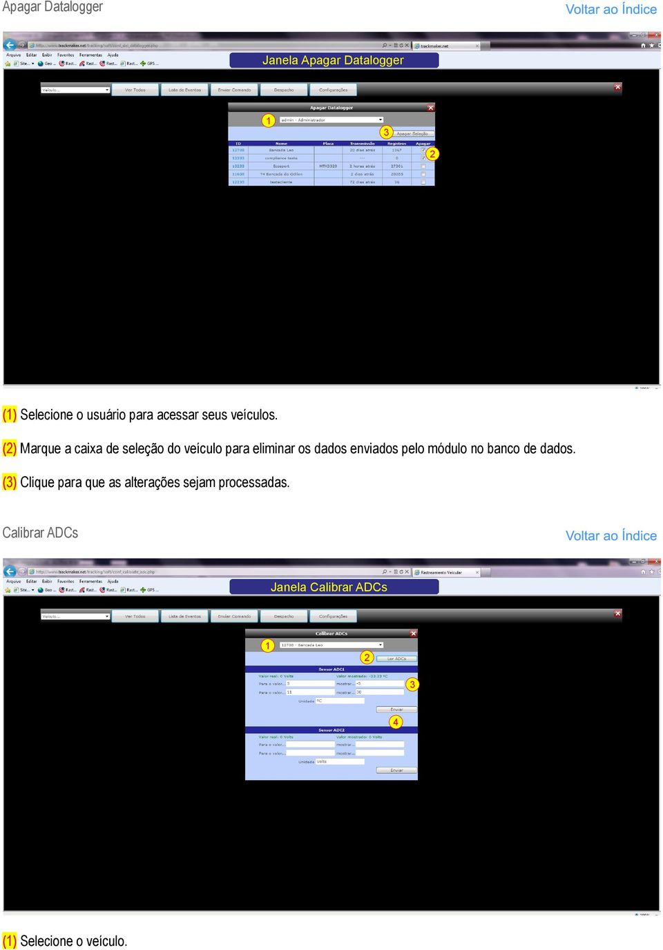 () Marque a caixa de seleção do veículo para eliminar os dados enviados pelo