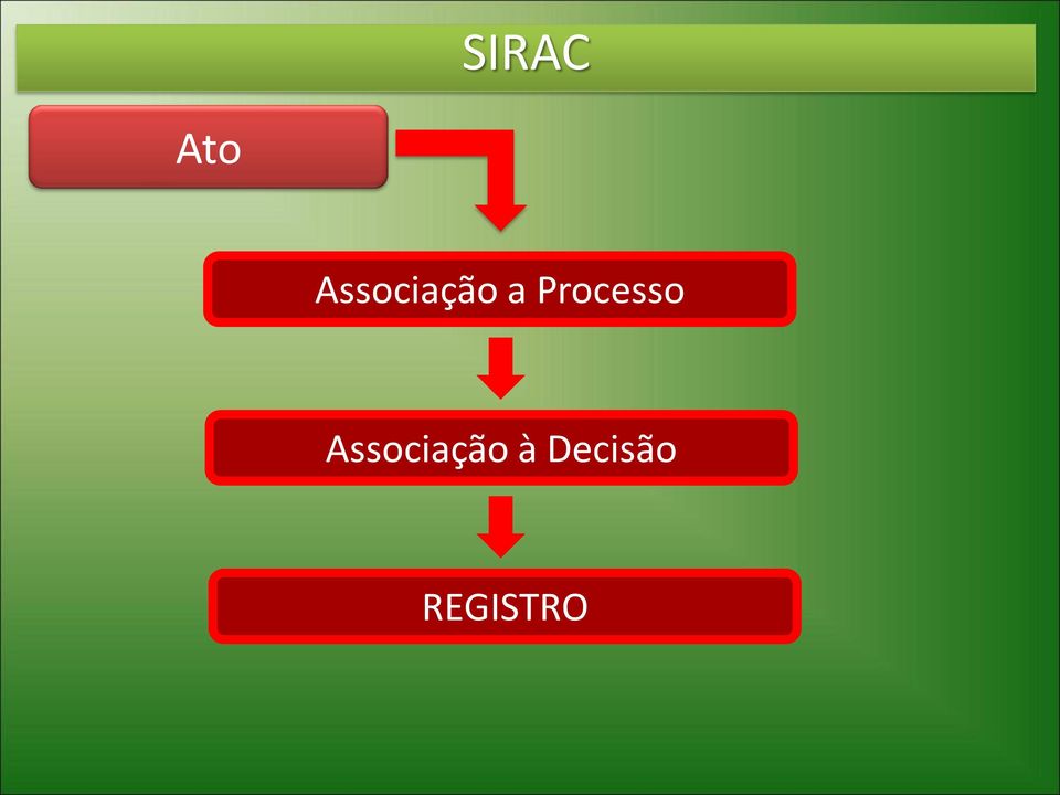 Processo