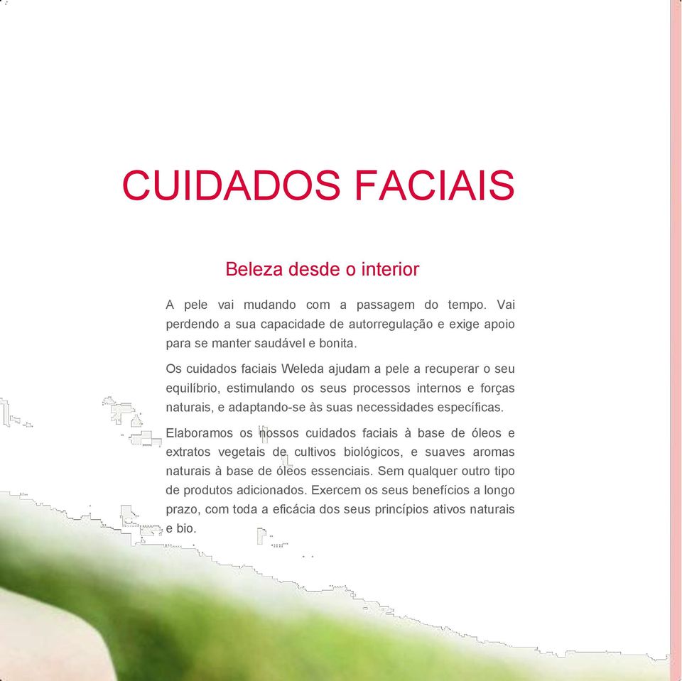 Os cuidados faciais Weleda ajudam a pele a recuperar o seu equilíbrio, estimulando os seus processos internos e forças naturais, e adaptando-se às suas necessidades