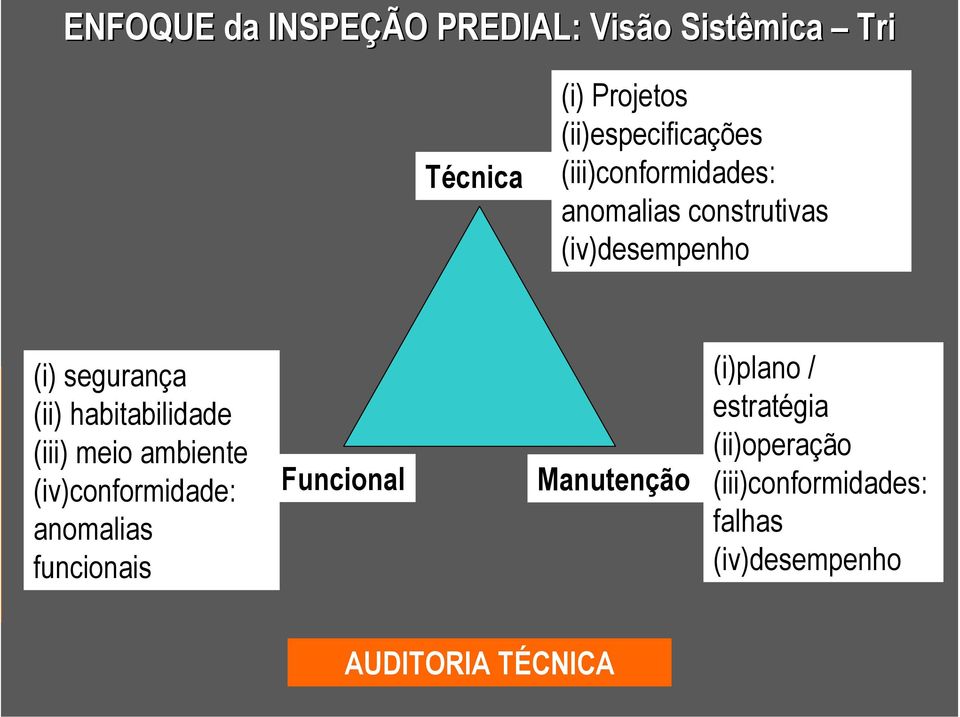 (ii) habitabilidade (iii) meio ambiente (iv)conformidade: anomalias funcionais Funcional