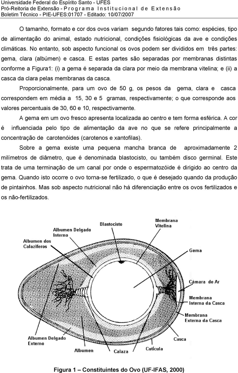 E estas partes são separadas por membranas distintas conforme a Figura1: (i) a gema é separada da clara por meio da membrana vitelina; e (ii) a casca da clara pelas membranas da casca.