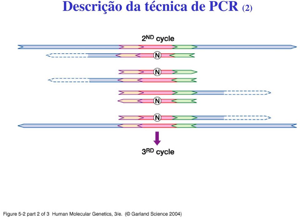 técnica