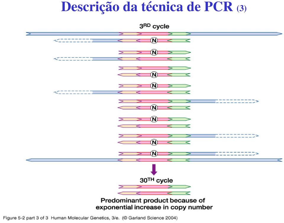 técnica