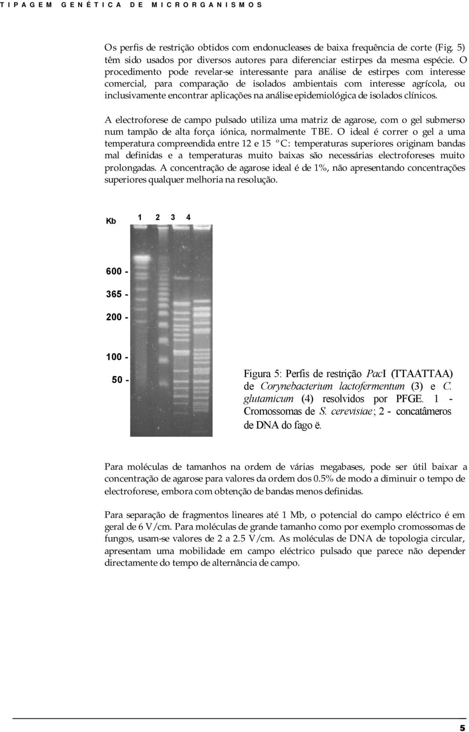 análise epidemiológica de isolados clínicos. A electroforese de campo pulsado utiliza uma matriz de agarose, com o gel submerso num tampão de alta força iónica, normalmente TBE.