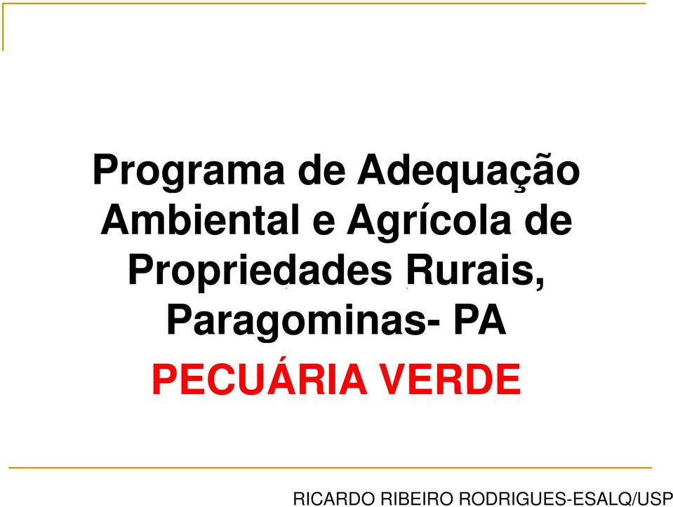 Paragominas- PA PECUÁRIA VERDE