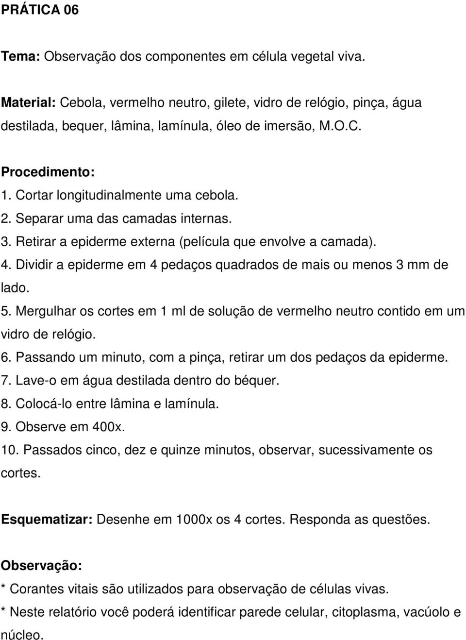 Dividir a epiderme em 4 pedaços quadrados de mais ou menos 3 mm de lado. 5. Mergulhar os cortes em 1 ml de solução de vermelho neutro contido em um vidro de relógio. 6.