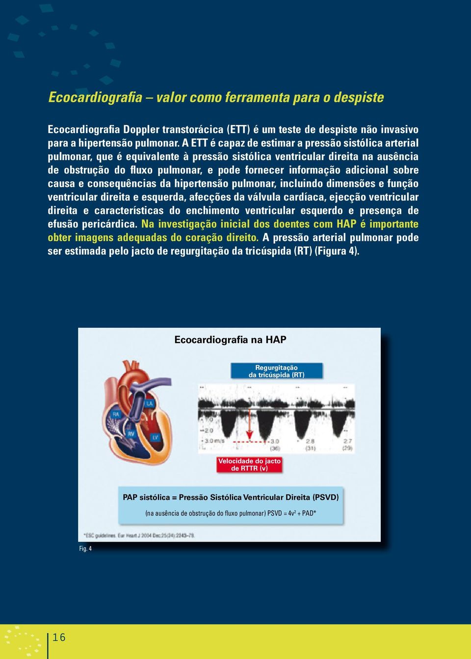 adicional sobre causa e consequências da hipertensão pulmonar, incluindo dimensões e função ventricular direita e esquerda, afecções da válvula cardíaca, ejecção ventricular direita e características