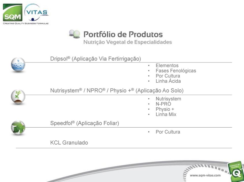 Physio + (Aplicação Ao Solo) Speedfol (Aplicação Foliar)