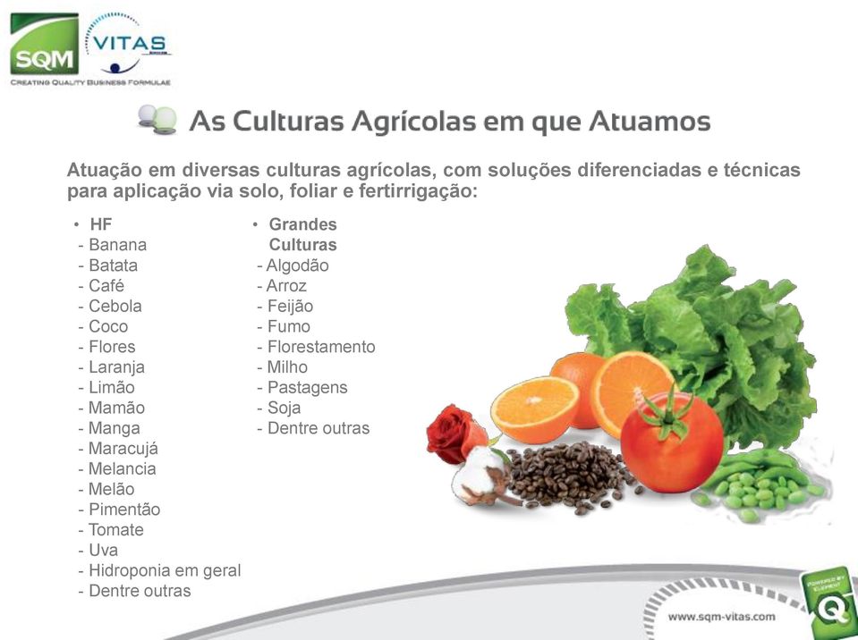 Manga - Maracujá - Melancia - Melão - Pimentão - Tomate - Uva - Hidroponia em geral - Dentre outras