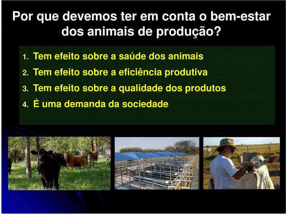 Tem efeito sobre a eficiência produtiva 3.