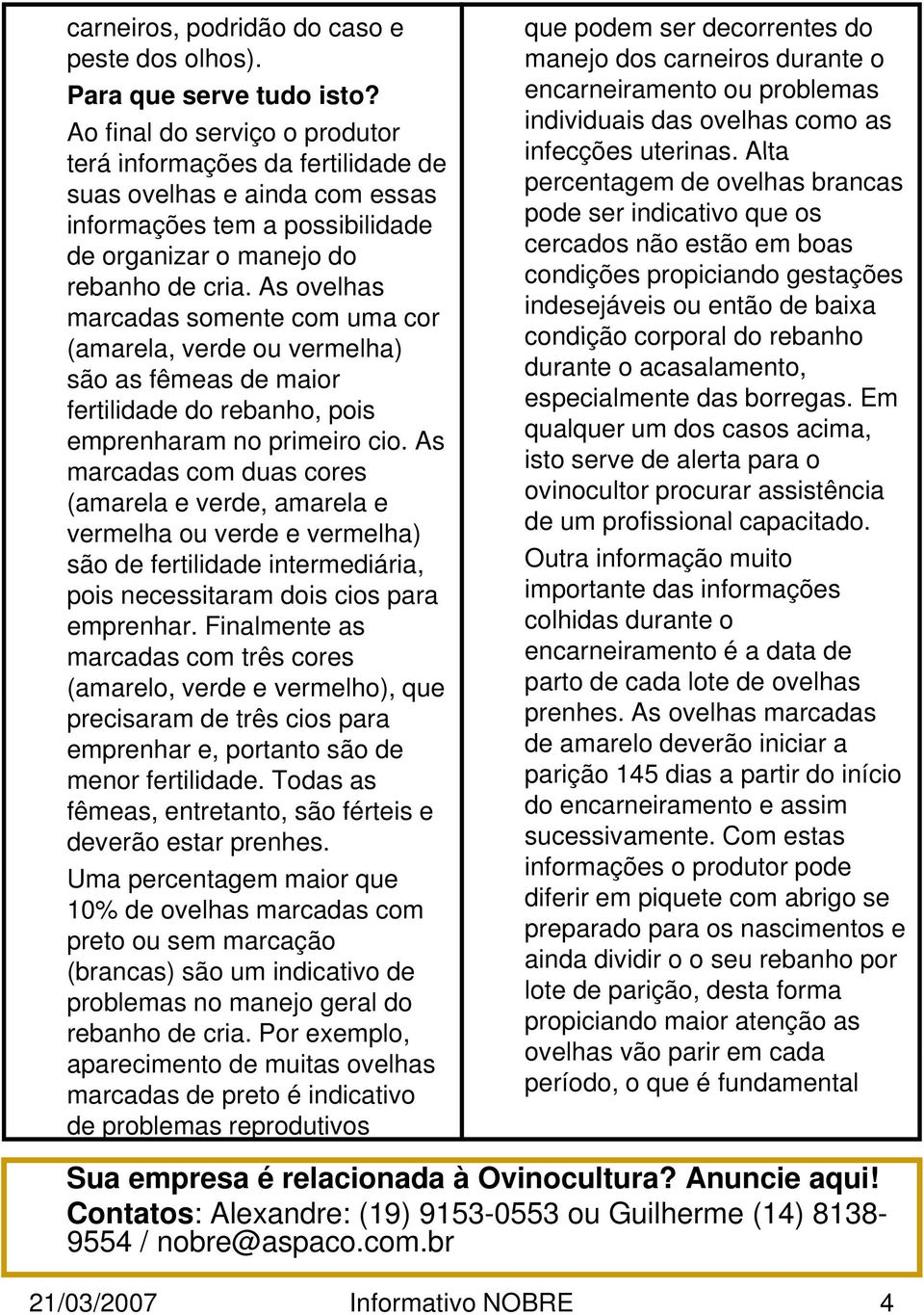 As ovelhas marcadas somente com uma cor (amarela, verde ou vermelha) são as fêmeas de maior fertilidade do rebanho, pois emprenharam no primeiro cio.