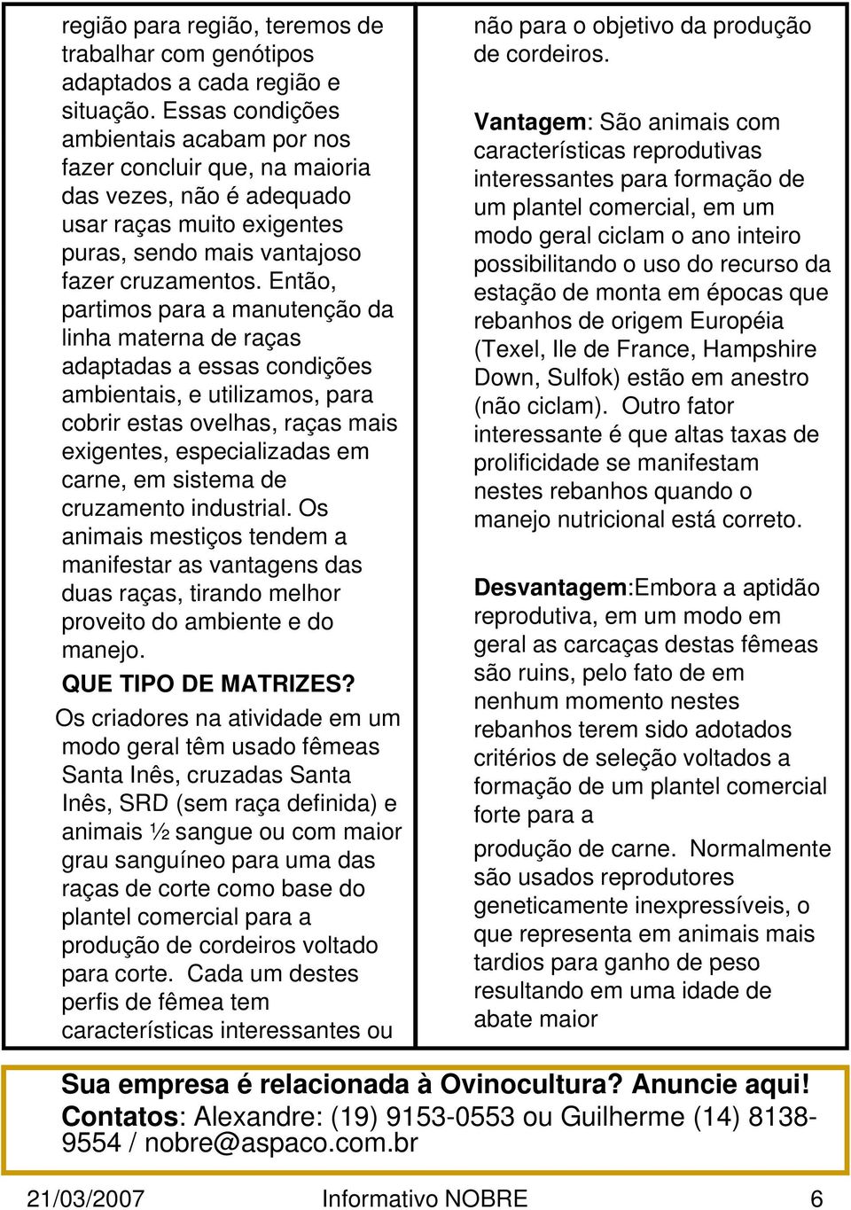 Então, partimos para a manutenção da linha materna de raças adaptadas a essas condições ambientais, e utilizamos, para cobrir estas ovelhas, raças mais exigentes, especializadas em carne, em sistema