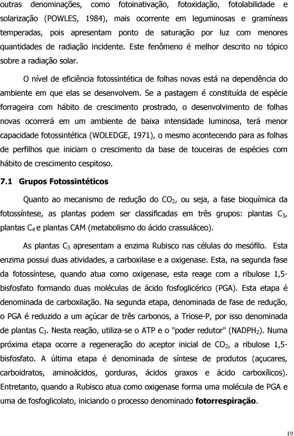 O nível de eficiência fotossintética de folhas novas está na dependência do ambiente em que elas se desenvolvem.