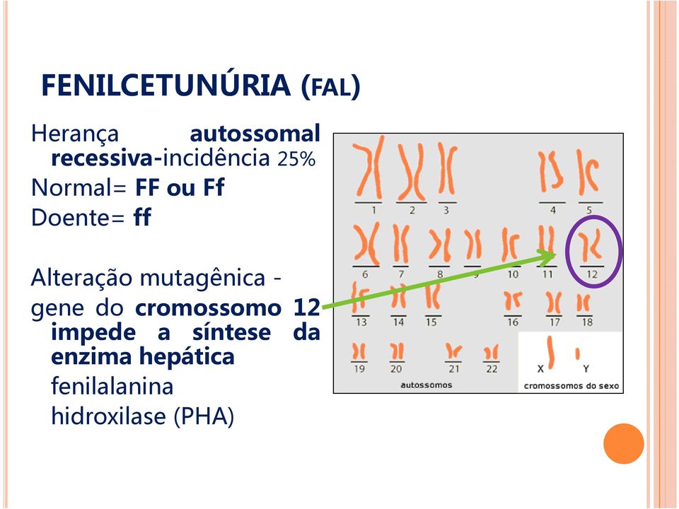 ff Alteração mutagênica - gene do cromossomo 12
