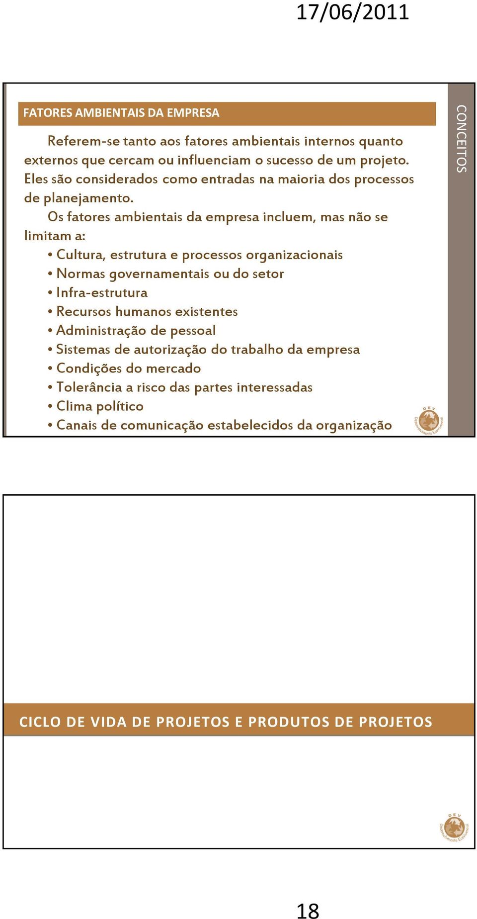 Os fatores ambientais da empresa incluem, mas não se limitam a: Cultura, estrutura e processos organizacionais Normas governamentais ou do setor Infra-estrutura