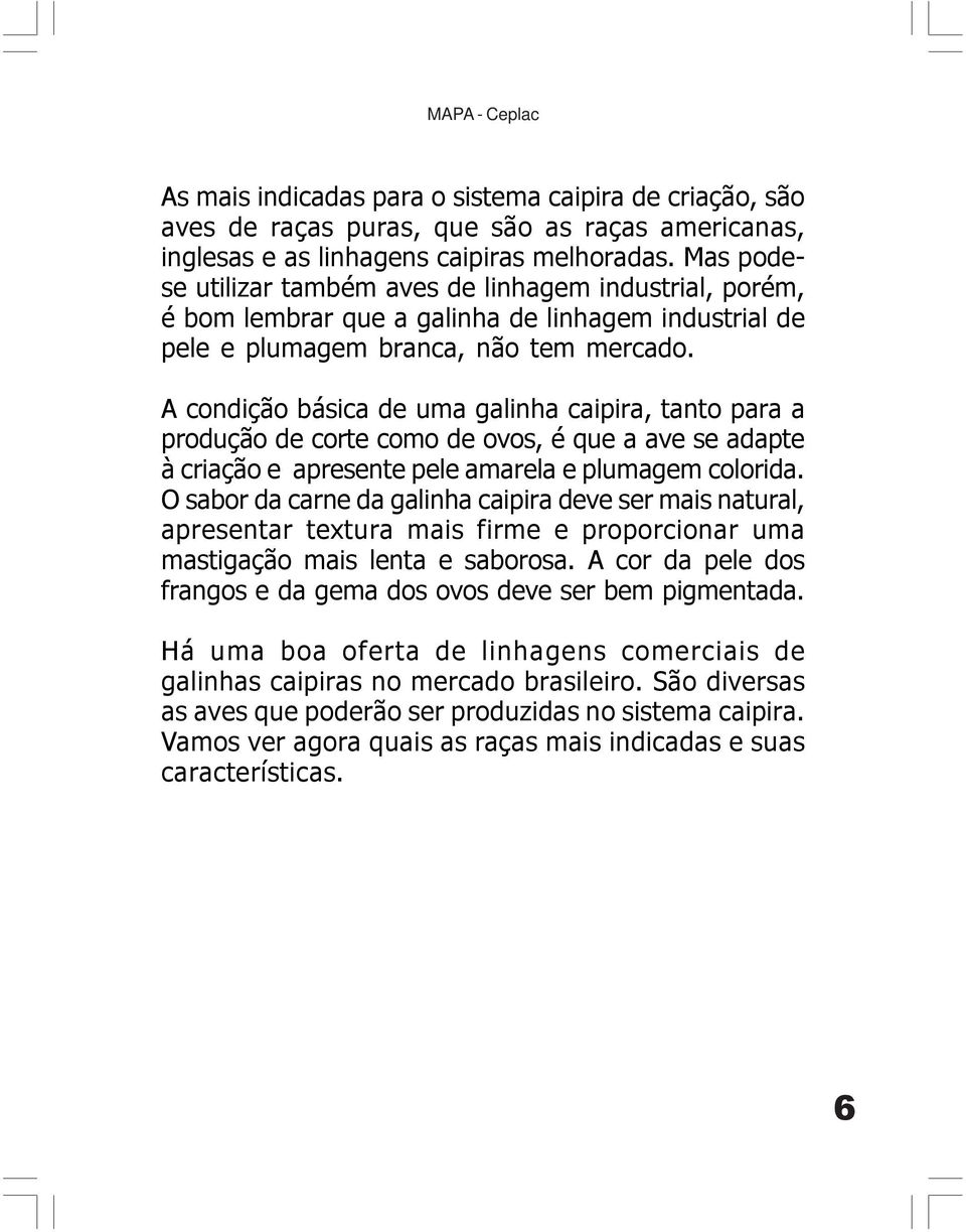 A condição básica de uma galinha caipira, tanto para a produção de corte como de ovos, é que a ave se adapte à criação e apresente pele amarela e plumagem colorida.