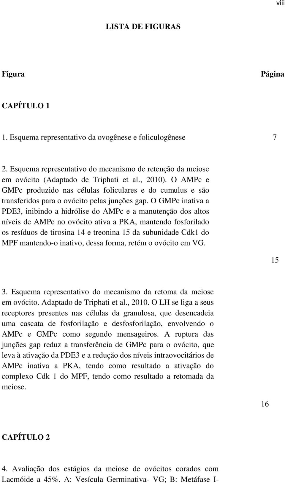 O AMPc e GMPc produzido nas células foliculares e do cumulus e são transferidos para o ovócito pelas junções gap.