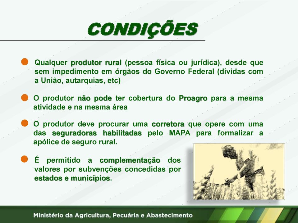 área O produtor deve procurar uma corretora que opere com uma das seguradoras habilitadas pelo MAPA para formalizar a