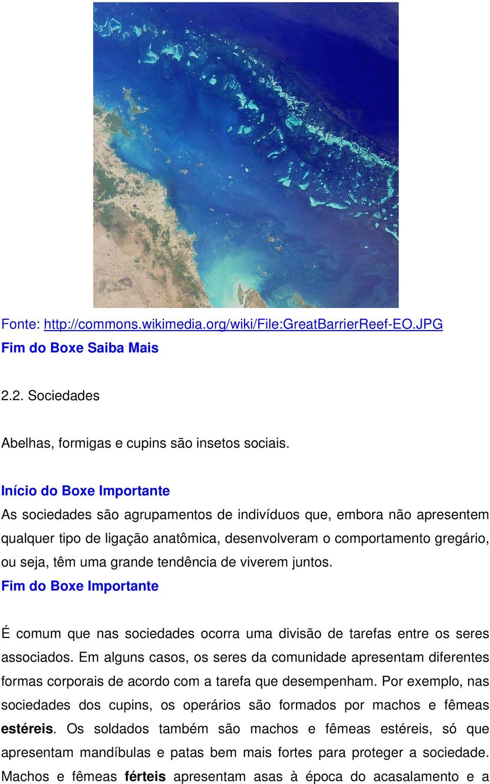 tendência de viverem juntos. Fim do Boxe Importante É comum que nas sociedades ocorra uma divisão de tarefas entre os seres associados.