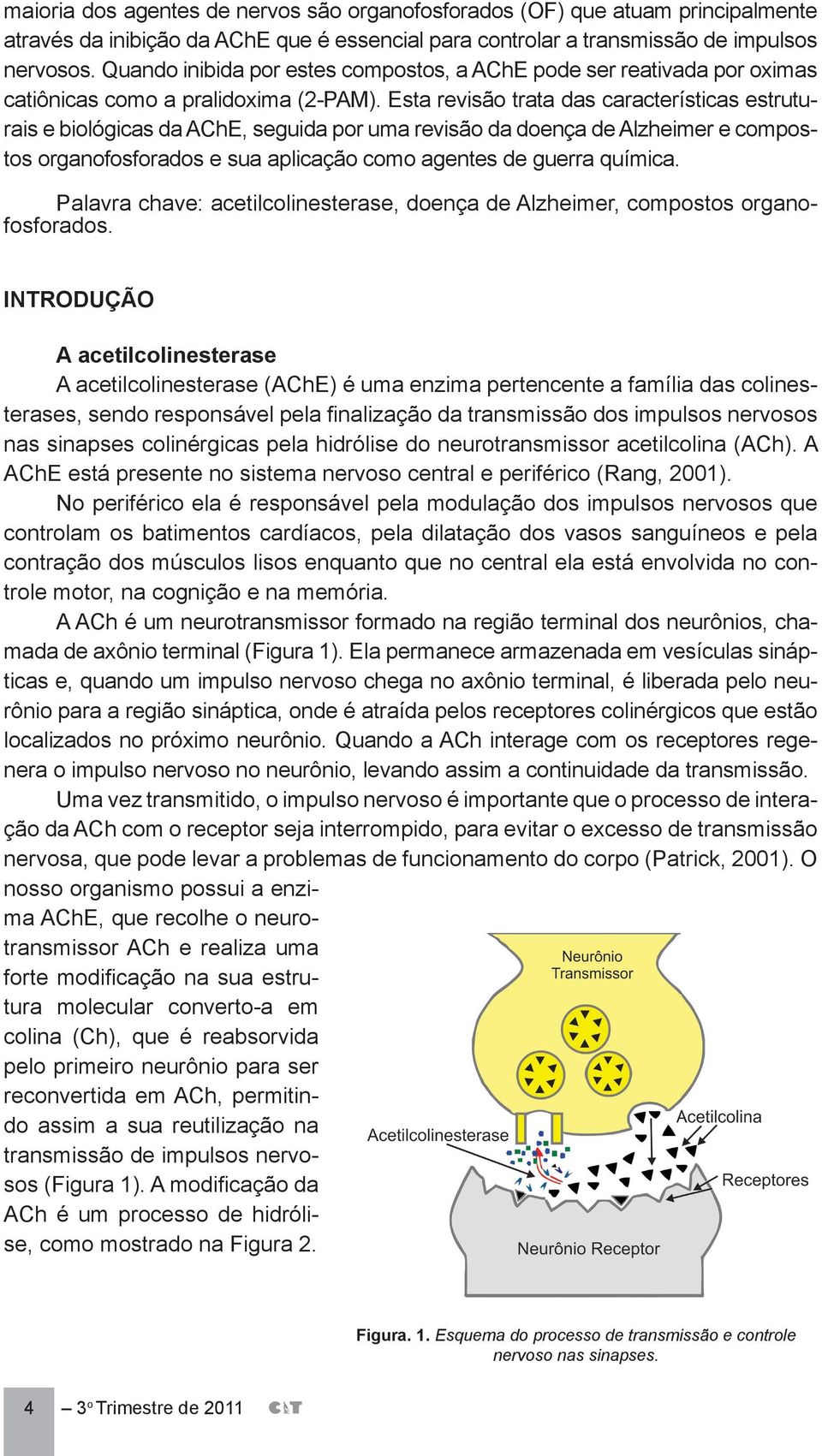 Esta revisão trata das características estruturais e biológicas da AChE, seguida por uma revisão da doença de Alzheimer e compostos organofosforados e sua aplicação como agentes de guerra química.