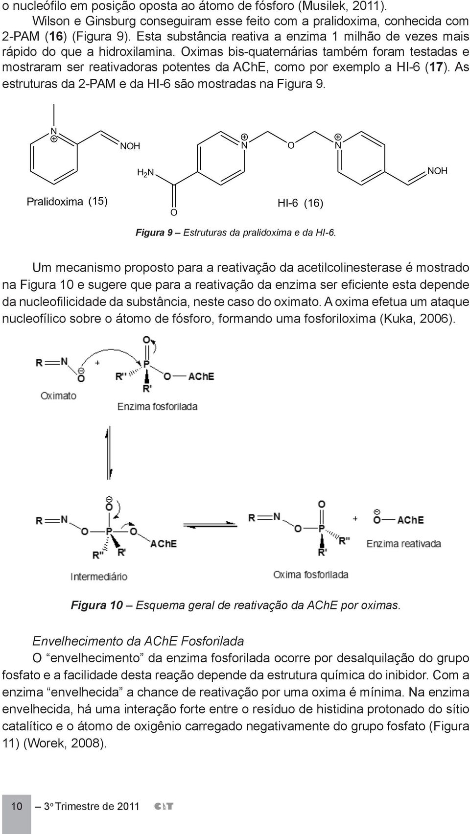 Oximas bis-quaternárias também foram testadas e mostraram ser reativadoras potentes da AChE, como por exemplo a HI-6 (17). As estruturas da 2-PAM e da HI-6 são mostradas na Figura 9.