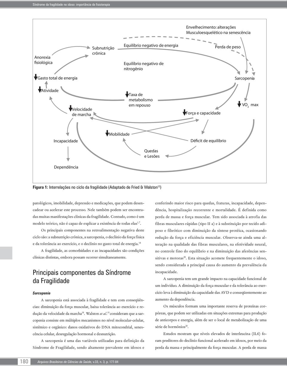 Déficit de equilíbrio Quedas e Lesões Dependência Figura 1: Interrelações no ciclo da fragilidade (Adaptado de Fried & Walston 12 ) patológicos, imobilidade, depressão e medicações, que podem