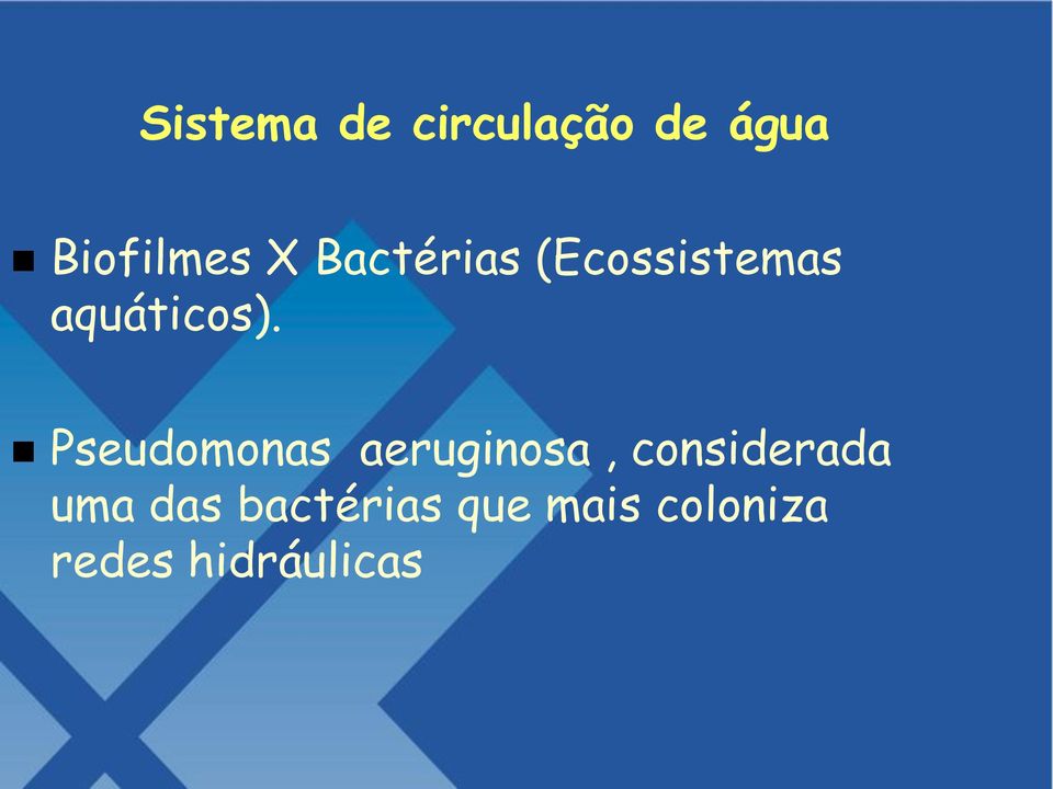 Pseudomonas aeruginosa, considerada uma