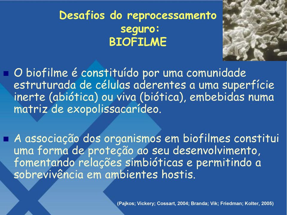 A associação dos organismos em biofilmes constitui uma forma de proteção ao seu desenvolvimento, fomentando relações