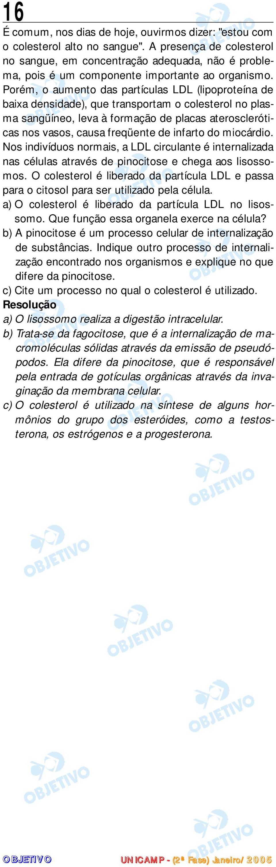 Porém, o aumento das partículas LDL (lipoproteína de baixa densidade), que transportam o colesterol no plasma sangüíneo, leva à formação de placas ateroscleróticas nos vasos, causa freqüente de