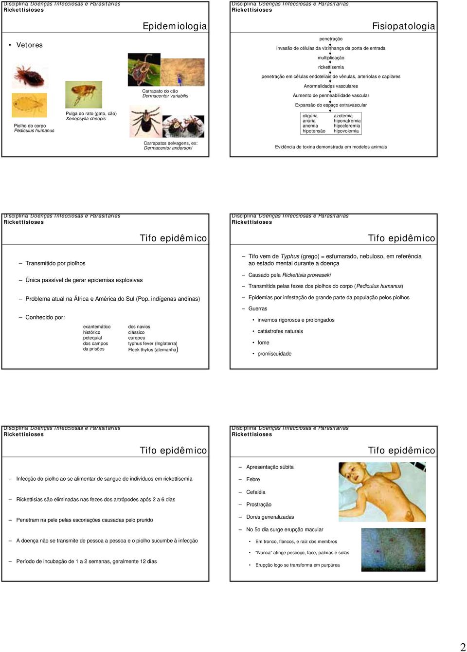 Xenopsylla cheopis oligúria anúria anemia hipotensão azotemia hiponatremia hipocloremia hipovolemia Carrapatos selvagens, ex: Dermacentor andersoni Evidência de toxina demonstrada em modelos animais