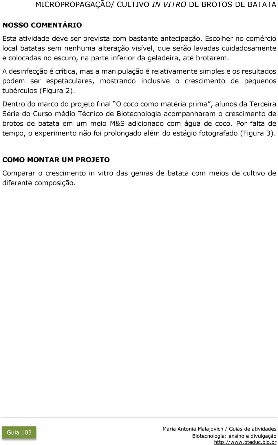 A desinfecção é crítica, mas a manipulação é relativamente simples e os resultados podem ser espetaculares, mostrando inclusive o crescimento de pequenos tubérculos (Figura 2).