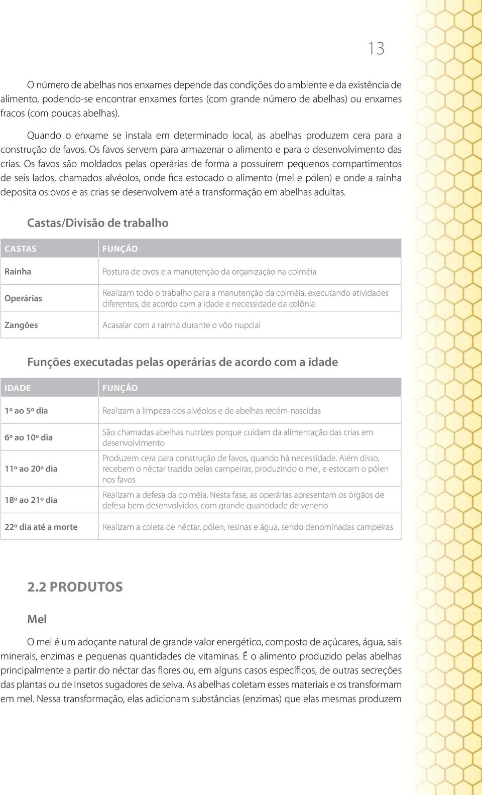 Os favos são moldados pelas operárias de forma a possuírem pequenos compartimentos de seis lados, chamados alvéolos, onde fica estocado o alimento (mel e pólen) e onde a rainha deposita os ovos e as