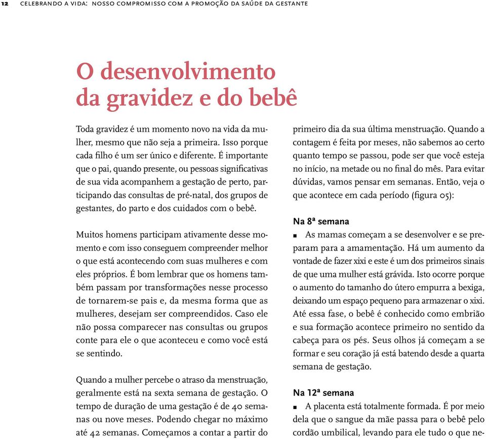 É importante que o pai, quando presente, ou pessoas significativas de sua vida acompanhem a gestação de perto, participando das consultas de pré-natal, dos grupos de gestantes, do parto e dos