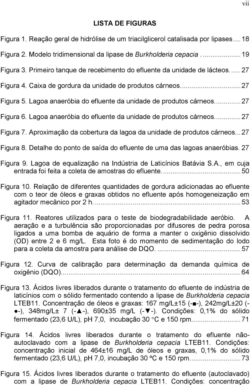 Lagoa anaeróbia do efluente da unidade de produtos cárneos.... 27 Figura 6. Lagoa anaeróbia do efluente da unidade de produtos cárneos.... 27 Figura 7.