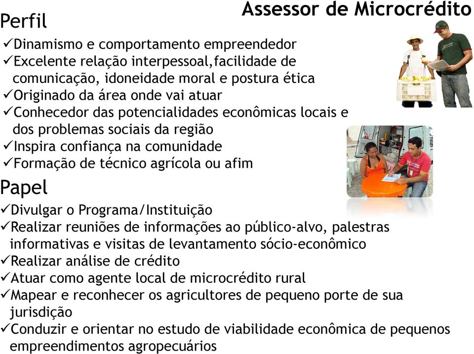 Programa/Instituição Realizar reuniões de informações ao público-alvo, palestras informativas e visitas de levantamento sócio-econômico Realizar análise de crédito Atuar como agente