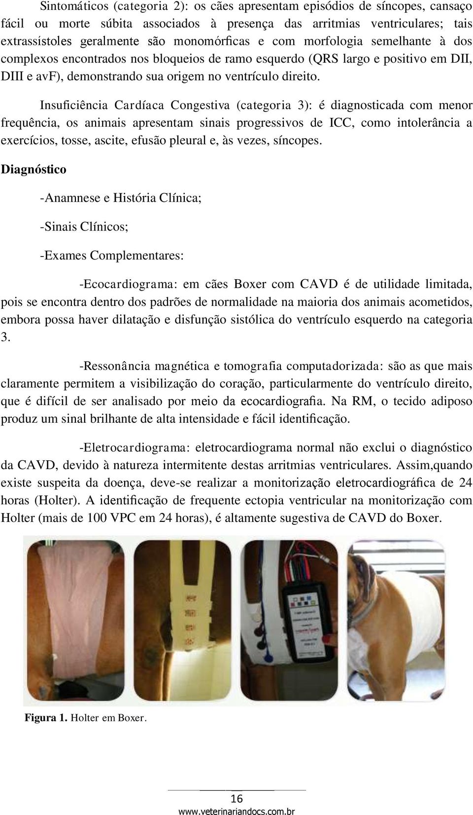 Insuficiência Cardíaca Congestiva (categoria 3): é diagnosticada com menor frequência, os animais apresentam sinais progressivos de ICC, como intolerância a exercícios, tosse, ascite, efusão pleural