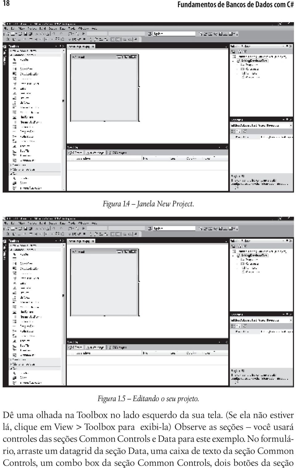 (Se ela não estiver lá, clique em View > Toolbox para exibi-la) Observe as seções você usará controles das seções