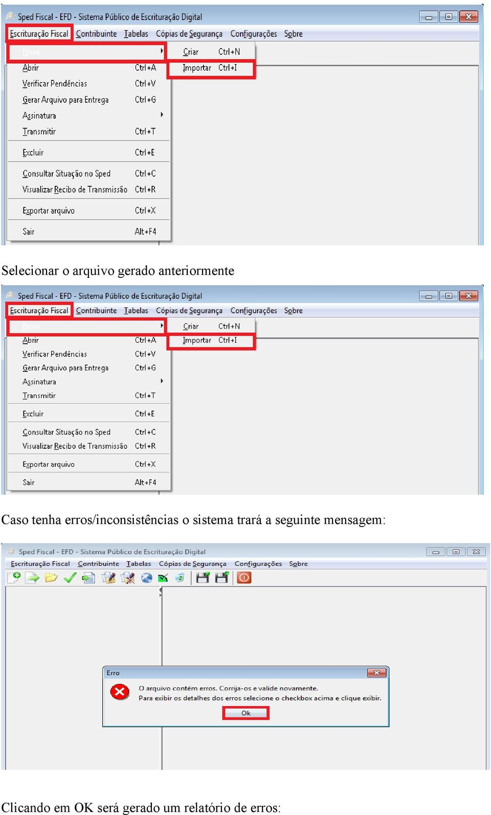 erros/inconsistências o sistema trará a