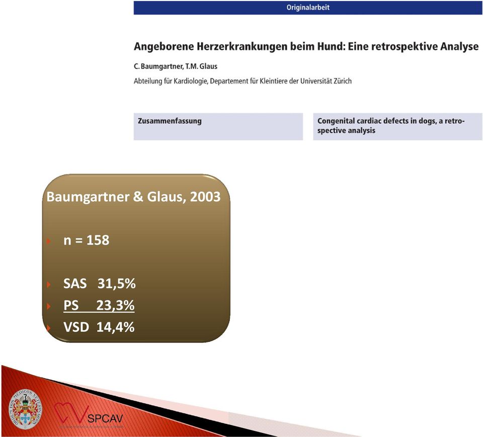 158 SAS 31,5%