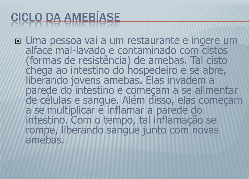 Elas invadem a parede do intestino e começam a se alimentar de células e sangue.